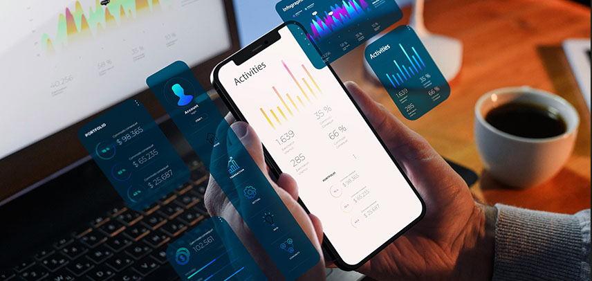 Professional Web App Development